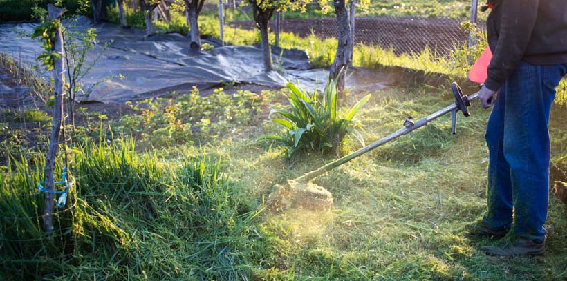 Project Single Image